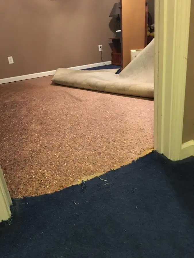 Carpet pad removal revealing water damage during Drying & Dehumidification in Middletown